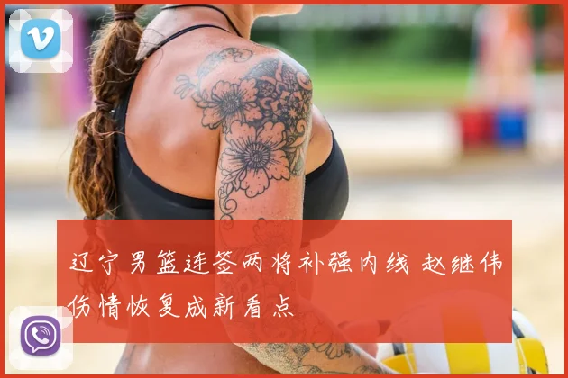 辽宁男篮连签两将补强内线 赵继伟伤情恢复成新看点