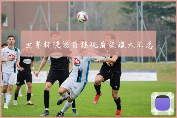 世界杯现场直播观看渠道大汇总