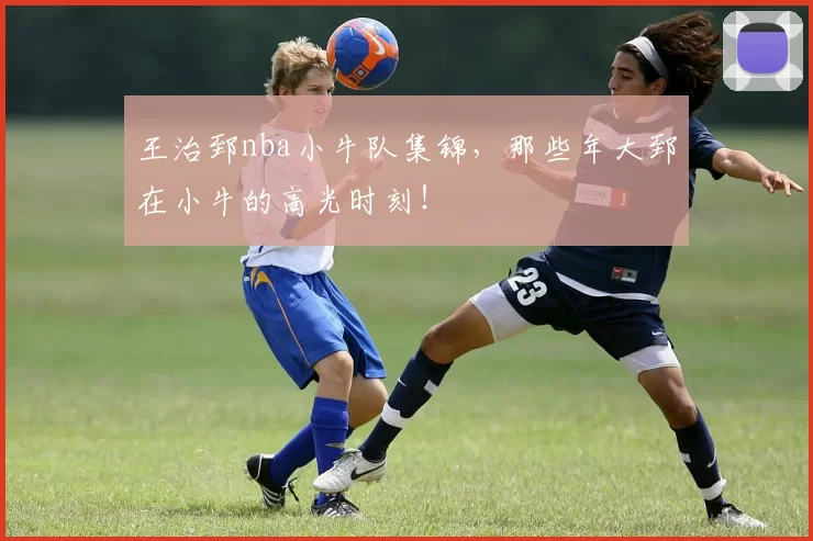 王治郅nba小牛队集锦,那些年大郅在小牛的高光时刻!