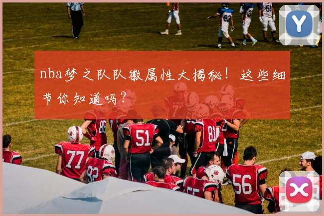nba梦之队队徽属性大揭秘!这些细节你知道吗?