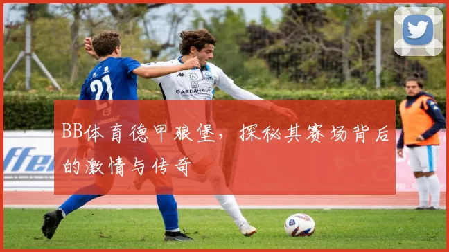 BB体育德甲狼堡,探秘其赛场背后的激情与传奇