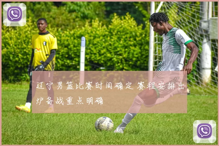 辽宁男篮比赛时间确定 赛程安排出炉备战重点明确