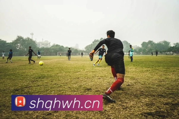 多媒体互动体验